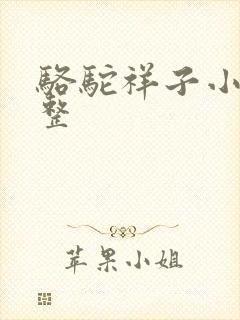 骆驼祥子小说完整