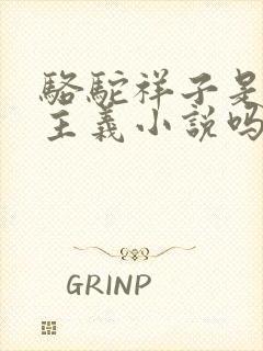 骆驼祥子是现实主义小说吗