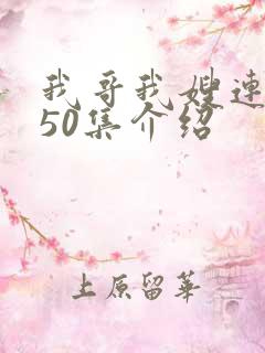 我哥我嫂连续剧50集介绍