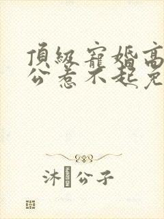 顶级宠婚高冷老公惹不起免费阅读