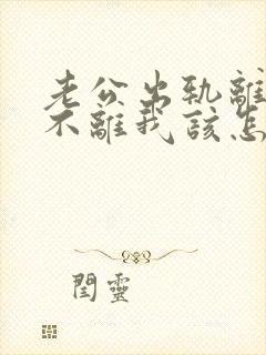 老公出轨离婚他不离我该怎么办