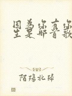 因为你有你的人生是哪首歌的歌词