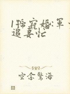 1号宠婚:军少追妻忙