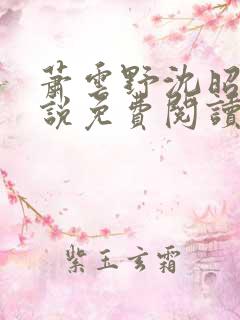 萧云野沈昭宁小说免费阅读最新章节