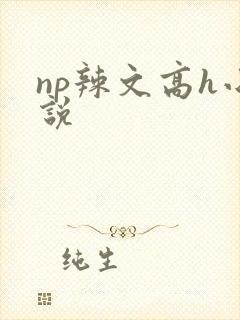 np辣文高h小说