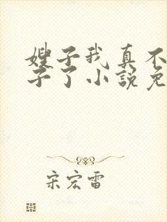 嫂子我真不是傻子了小说免费阅读全文