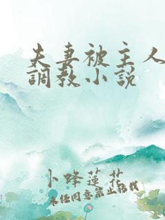 夫妻被主人一起调教小说