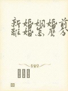 新婚姻婚前财产离婚怎么分配