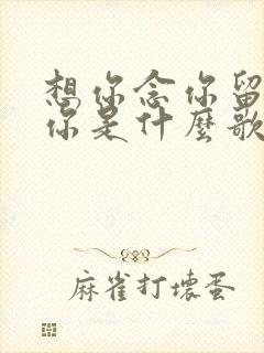 想你念你留不住你是什么歌