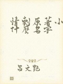 情刺原著小说叫什么名字