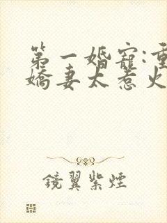 第一婚宠:重生娇妻太惹火免费阅读