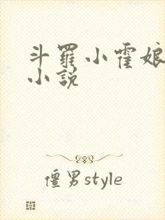 斗罗小霍娘同人小说