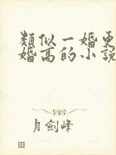 类似一婚更比一婚高的小说