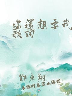 你还想要我怎样歌词