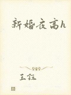 新婚夜高h