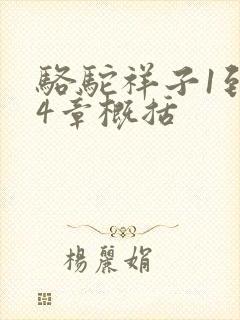 骆驼祥子1到24章概括