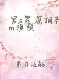 男s严厉调教女m视频