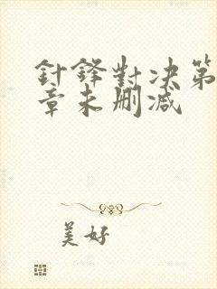 针锋对决第十七章未删减