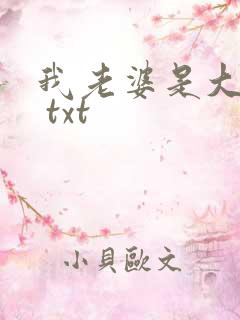 我老婆是大明星 txt