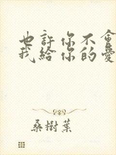 也许你不会明白我给你的爱是什么歌