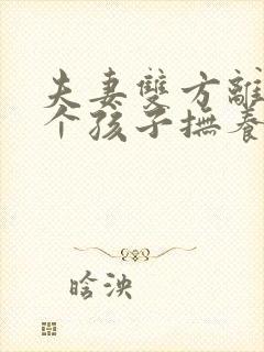 夫妻双方离婚两个孩子抚养权怎么判