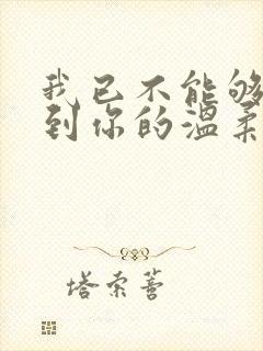 我已不能够再见到你的温柔是什么歌