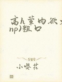 高h荤肉欲文(np)粗口