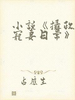 小说《摄政王的宠妻日常》