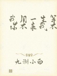 我用一生等你,你不来我不老是什么歌