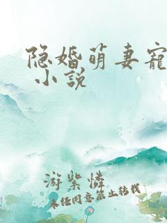 隐婚萌妻宠上瘾 小说