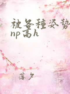 被各种姿势玩弄np高h