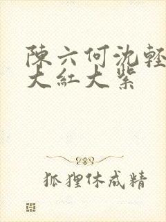 陈六何沈轻舞 大红大紫