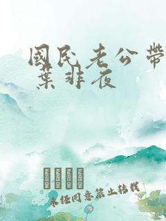 国民老公带回家 叶非夜