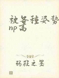 被各种姿势玩弄np高