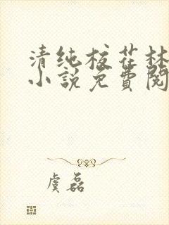 清纯校花林思琪小说免费阅读