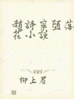 赵诗宁堕落的校花小说