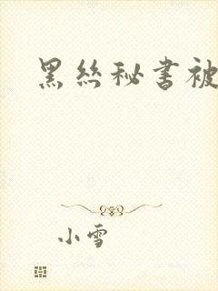 黑丝秘书被艹