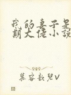 我的妻子是大乘期大佬小说完整版大结局