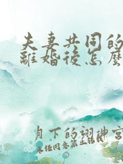 夫妻共同的房子离婚后怎么分割