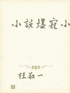 小说爆宠小萌妃