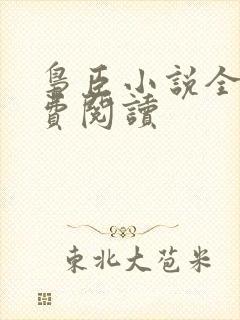 枭臣小说全文免费阅读