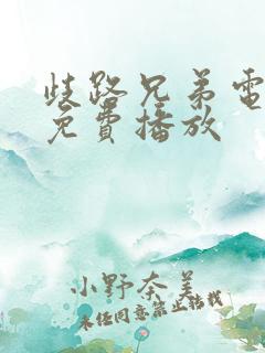 歧路兄弟电视剧免费播放