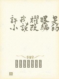 许我耀眼是哪个小说改编的