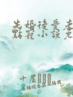 先婚后爱老公轻点宠小说免费阅读