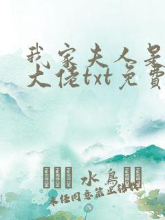 我家夫人是隐藏大佬txt免费下载