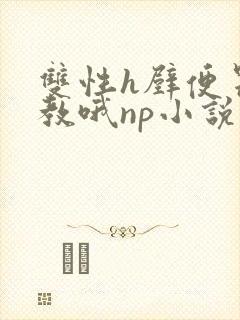 双性h壁便器调教哦np小说