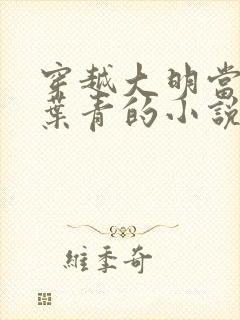 穿越大明当县令叶青的小说