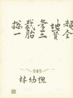 总裁爹地超给力一胎三宝全文免费阅读