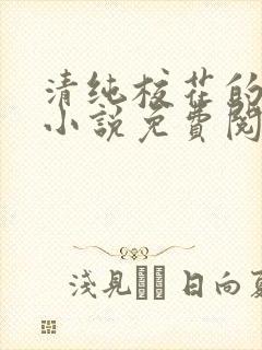 清纯校花的日常小说免费阅读