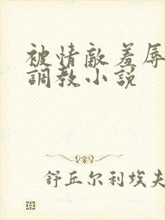 被情敌羞辱玩弄调教小说